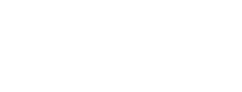 LevelGuild